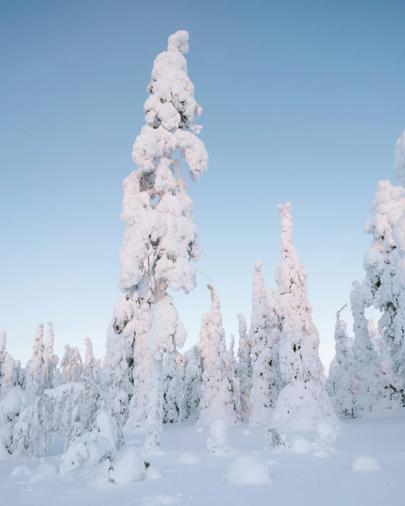 a man riding a snowboard down a snow covered slope, an album cover, by Veikko Törmänen, pexels contest winner, trees outside, thumbnail, multiple stories, cotton candy trees