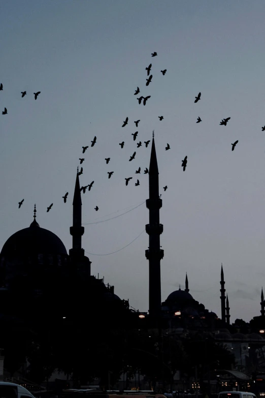 a flock of birds flying over a city, an album cover, by Nabil Kanso, pexels, hurufiyya, mosque, 2 5 6 x 2 5 6, turkey, ap news photograph