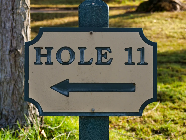 a sign points the way to hole 11, unsplash, folk art, profile image, bottom angle, hegre, eleven/millie bobbie brown