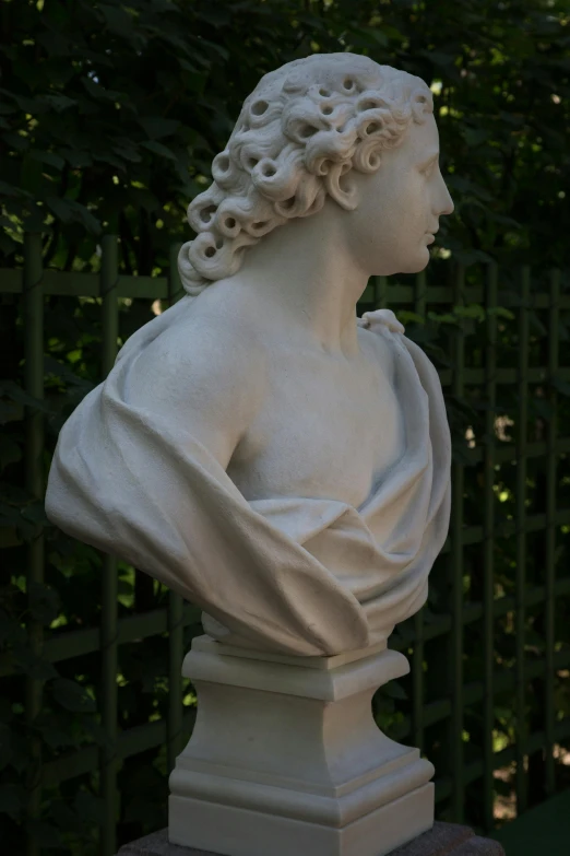 a close up of a statue of a woman, a young man, powdered wig, in the garden, only head and chest