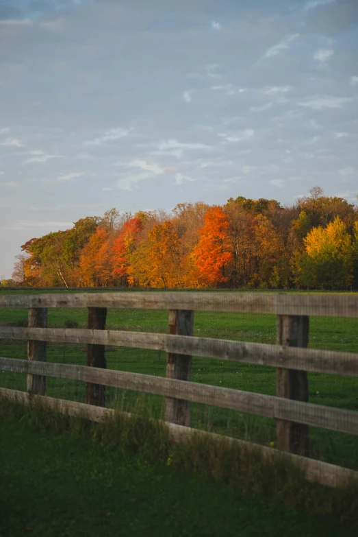 a wooden fence in a field with trees in the background, by Robert Storm Petersen, unsplash, color field, minn, autum, early evening, college