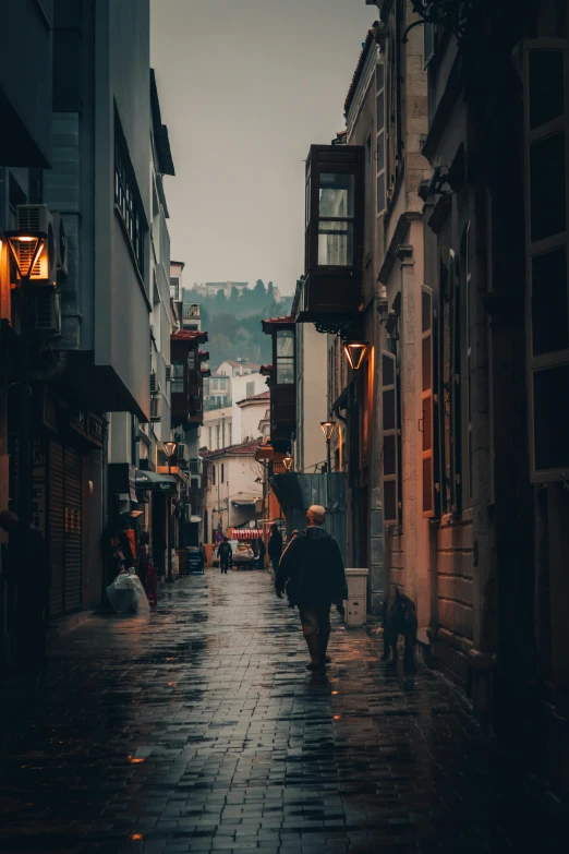 a person walking down a street at night, unsplash contest winner, renaissance, overcast day, istanbul, late morning, quaint