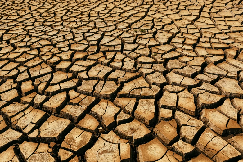 a dry cracked ground with trees in the background, by Thomas Häfner, shutterstock, auto-destructive art, 2 5 6 x 2 5 6 pixels, brown water, panels, sweltering heat