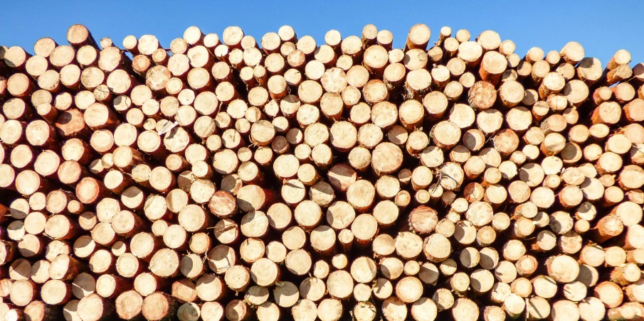 a pile of logs stacked on top of each other, by Jan Rustem, unsplash, blue sky, 15081959 21121991 01012000 4k, round-cropped, ilustration