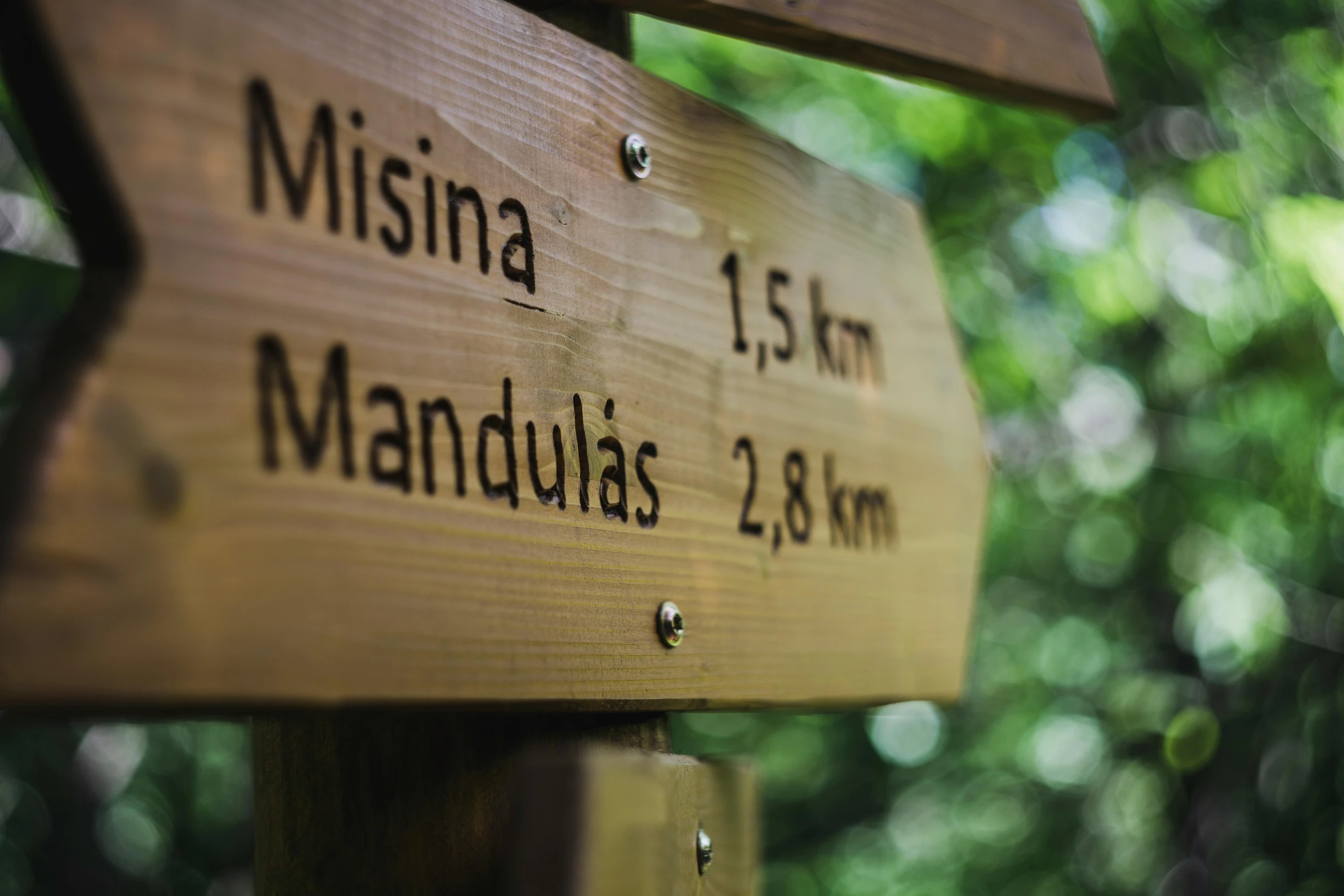 a close up of a street sign with trees in the background, by Maksimilijan Vanka, trekking in a forest, miranda meeks, a wooden, minn