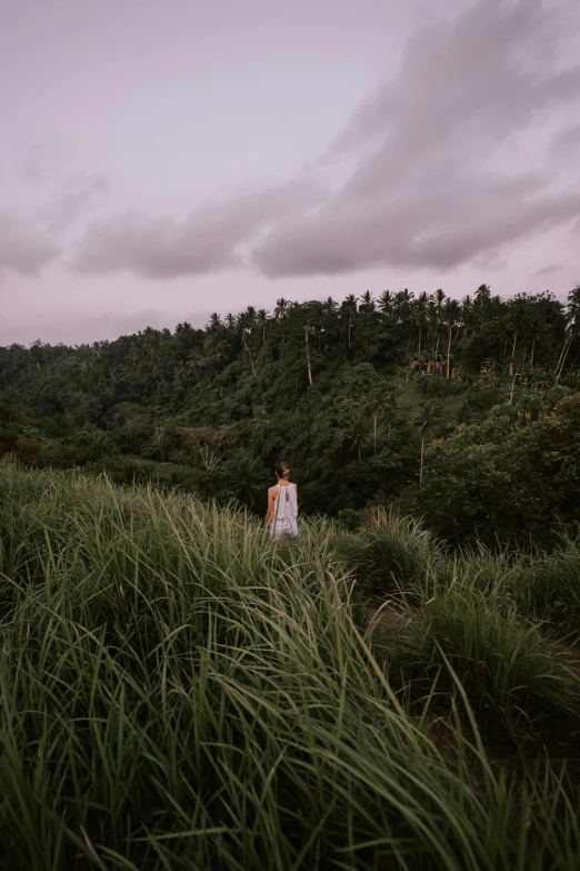 a woman standing on top of a lush green field, a picture, by Jessie Algie, unsplash contest winner, party in jungles, overcast dusk, pale pink grass, tourist photo