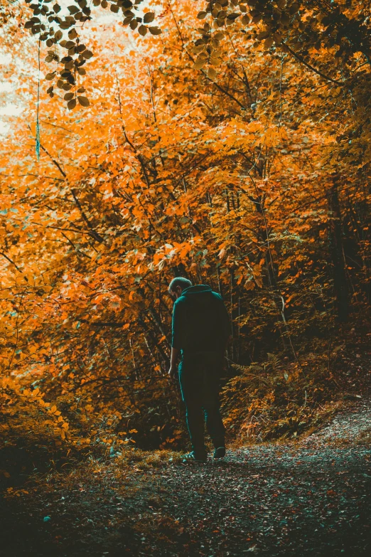 a person walking down a path in the woods, inspired by Elsa Bleda, pexels contest winner, orange colors, man standing, looking left, colored