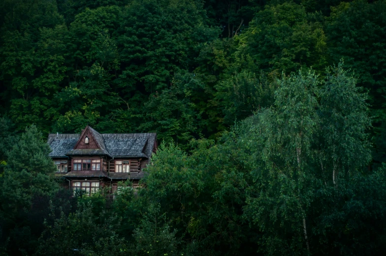 a house sitting on top of a lush green forest, inspired by Elsa Bleda, pexels contest winner, renaissance, slovakia, late summer evening, a wooden, conde nast traveler photo