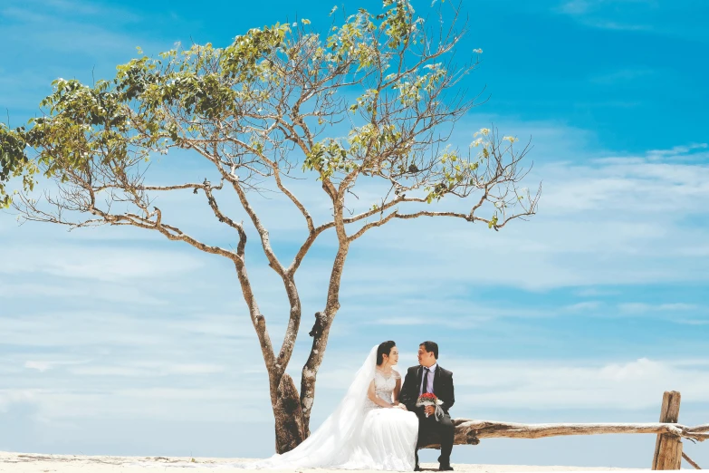 a bride and groom sitting under a tree on a beach, pexels contest winner, clear blue skies, thumbnail, straya, bench