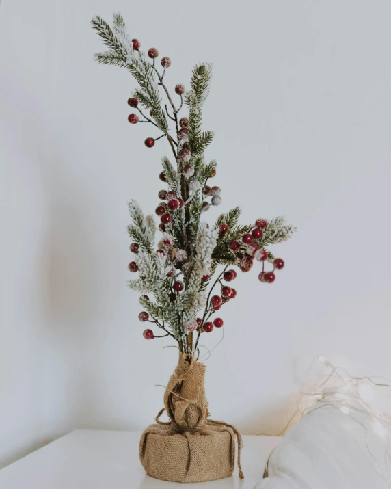 a white table topped with a vase filled with red berries, inspired by Ernest William Christmas, unsplash, hurufiyya, glitter accents on figure, an old twisted tree, high resolution product photo, angled view