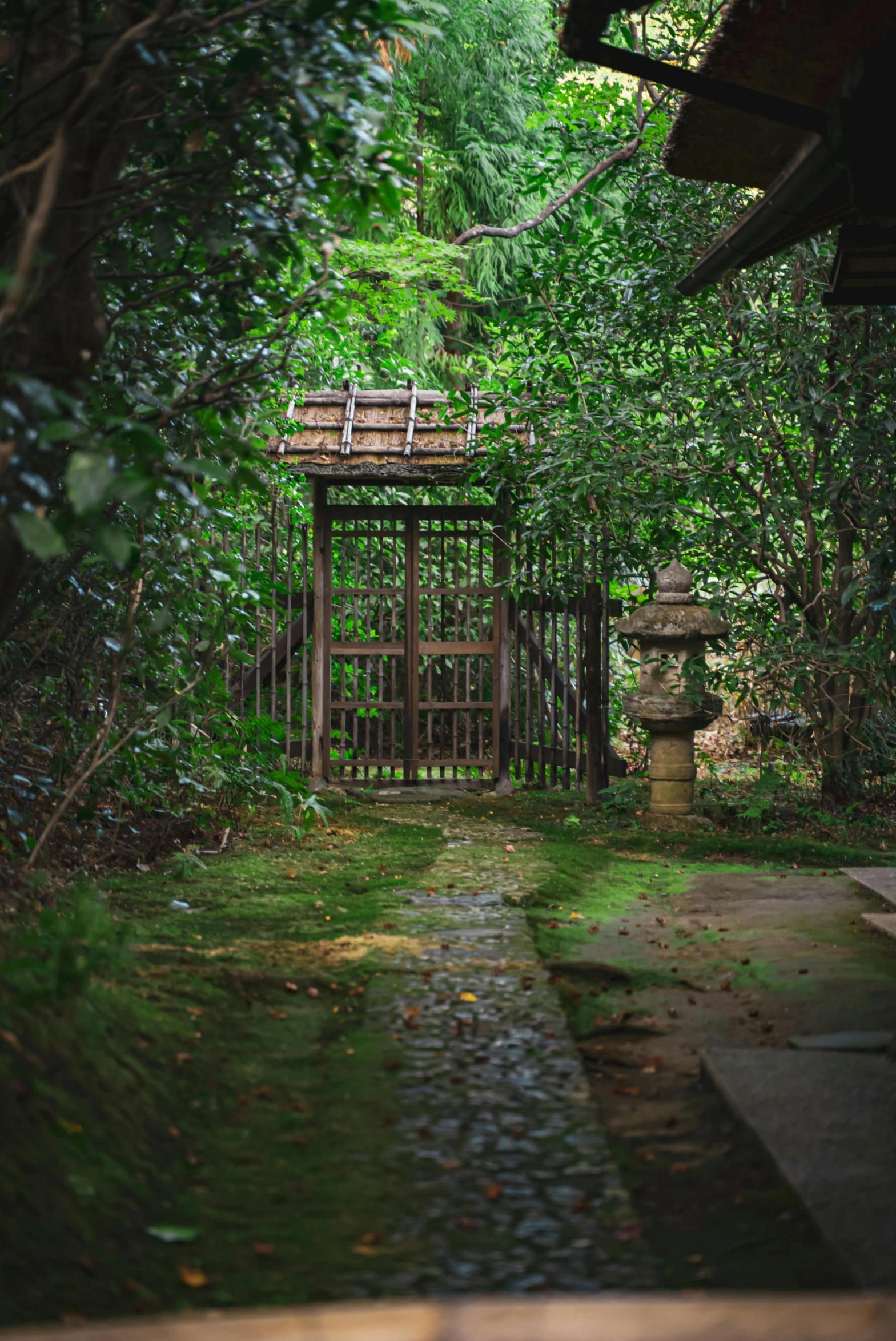 a wooden gate sitting in the middle of a lush green forest, inspired by Sesshū Tōyō, unsplash, mingei, an abandonded courtyard, malaysia jungle, overgrown garden environment, shrines