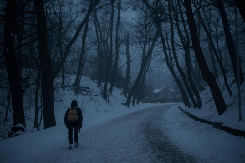 a person walking down a snow covered road, by Adam Marczyński, pexels contest winner, scary night, walking at the park, foreboding background, silent hill