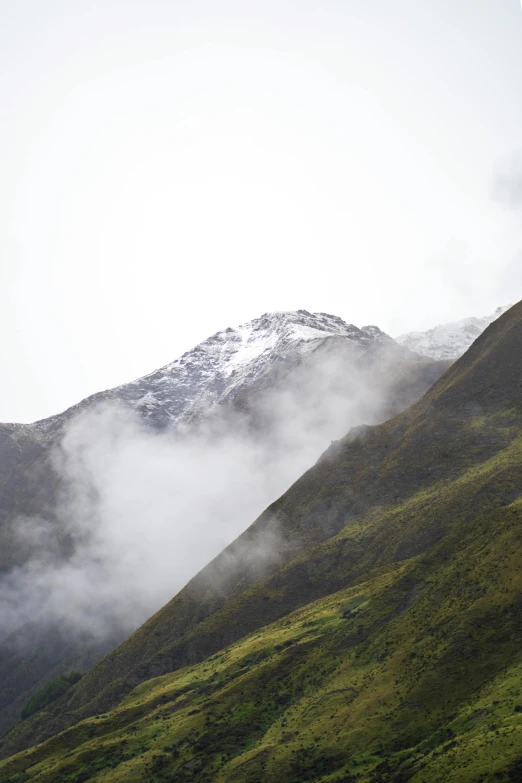 a herd of sheep standing on top of a lush green hillside, by Muggur, trending on unsplash, hurufiyya, with snow on its peak, arm reaching out of thick fog, new zealand, gray sky