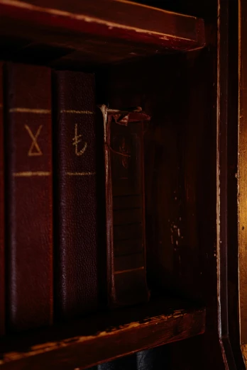 a row of books sitting on top of a wooden shelf, runic, occult details, low-light photograph, ox