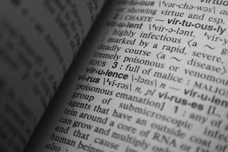 a black and white photo of an open book, renaissance, virus, claiming vengance, word, close-up!!!!!