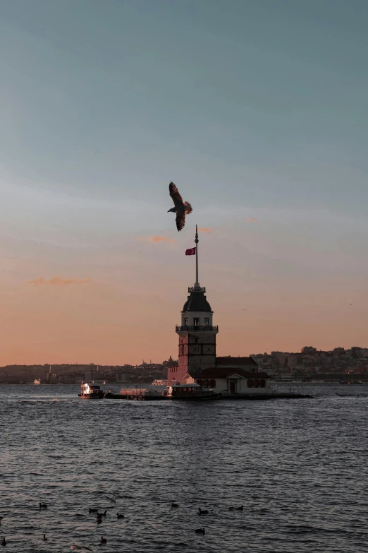 a bird flying over a body of water, a statue, inspired by Altoon Sultan, hurufiyya, hardturm, over-shoulder shot, at sunset, turbo