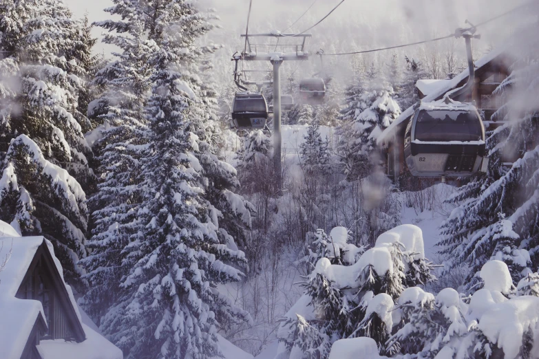 a ski lift in the middle of a snowy forest, renaissance, avatar image, conde nast traveler photo, grayish, thumbnail