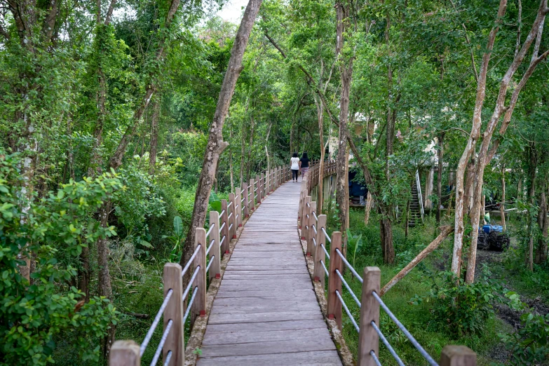 a wooden bridge in the middle of a forest, hurufiyya, singapore esplanade, ecovillage, man walking, a cozy