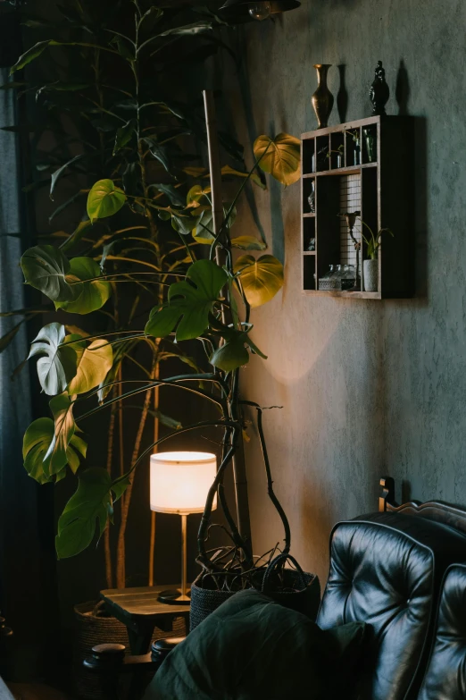 a couch sitting in a living room next to a window, inspired by Elsa Bleda, unsplash, lush plants and lanterns, standing in a dimly lit room, cafe lighting, ambient cave lighting