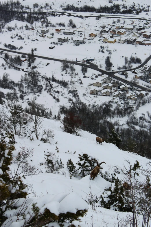 a man riding skis down a snow covered slope, a picture, by Muggur, trending on reddit, les nabis, goat, overview, carcassonne, very very low quality picture