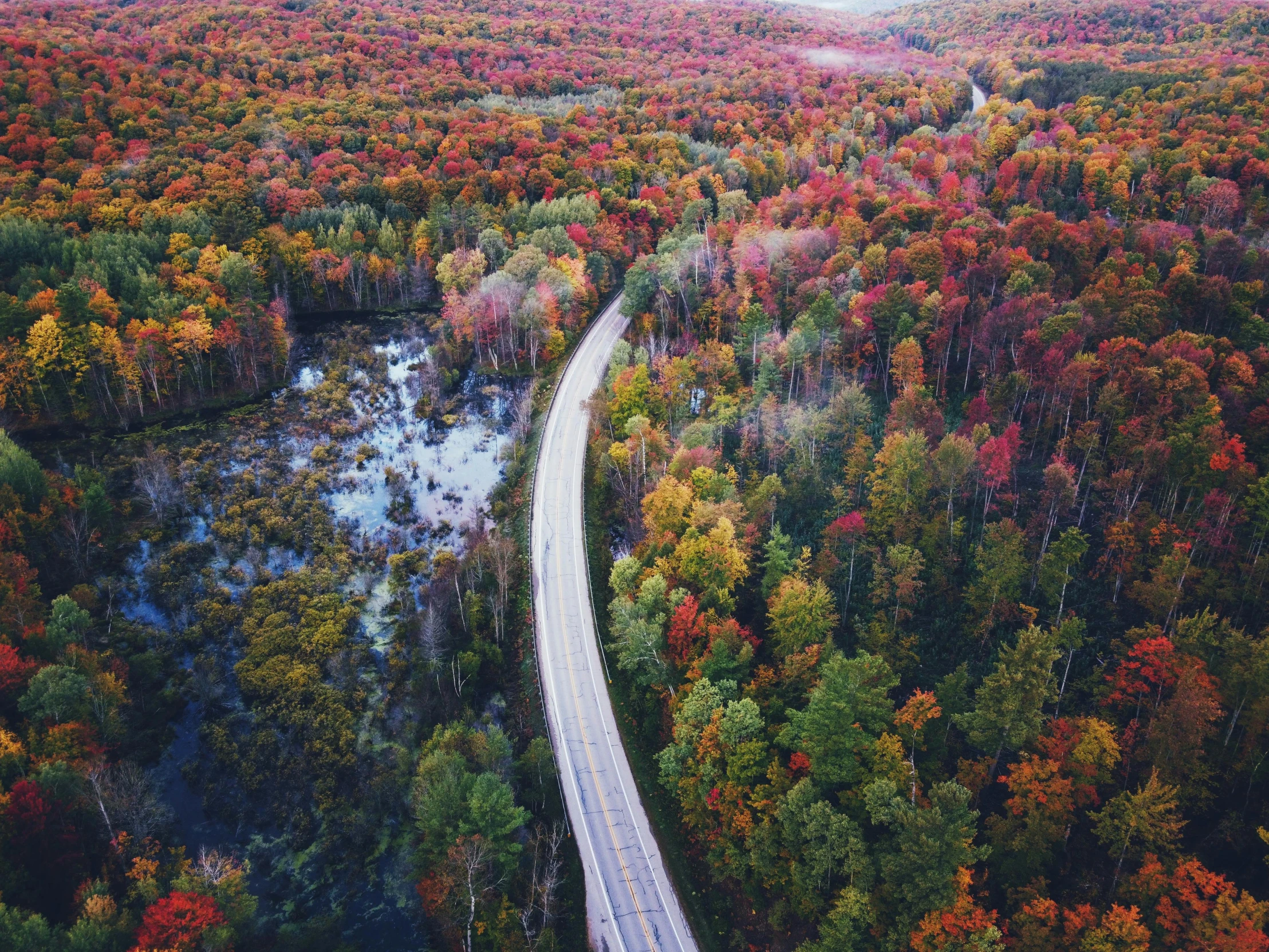 an aerial view of a road surrounded by trees, by Carey Morris, pexels contest winner, hurufiyya, bright colors ultrawide lens, michigan, build in a forest near of a lake, faded red colors