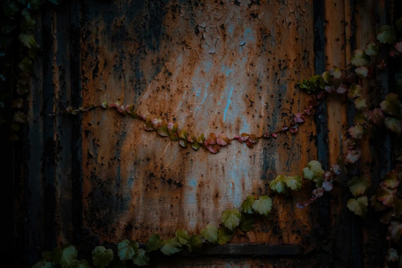 a plant that is growing on the side of a building, an album cover, inspired by Elsa Bleda, pexels contest winner, aestheticism, iron arc gate door texture, texture of old rust and trash, colorful vines, chains