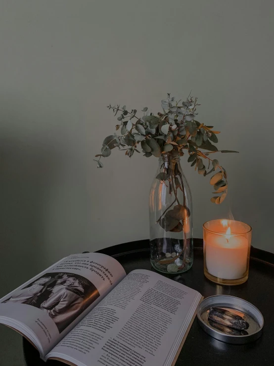 an open book sitting on top of a table next to a candle, eucalyptus, low quality photo, magazine photo, ad image