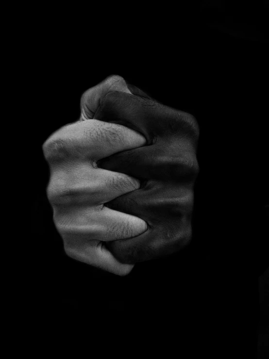 a black and white photo of two hands holding each other, by Giovanni Pelliccioli, black skin!!!, clenched fist, ying and yang, contrast colors