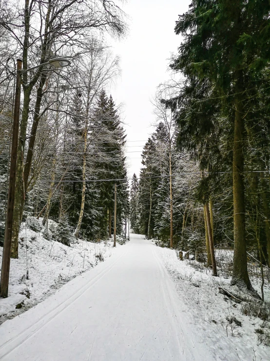 a man riding skis down a snow covered slope, inspired by Jan Müller, a beautiful pathway in a forest, detmold, 🚿🗝📝