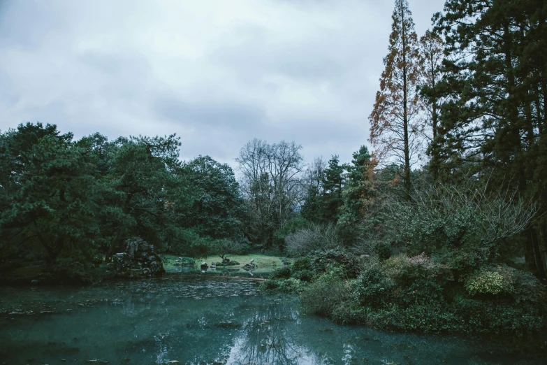 a body of water surrounded by trees on a cloudy day, an album cover, inspired by Elsa Bleda, unsplash, australian tonalism, in japanese garden, at highgate cemetery, high quality photo, kamakura scenery