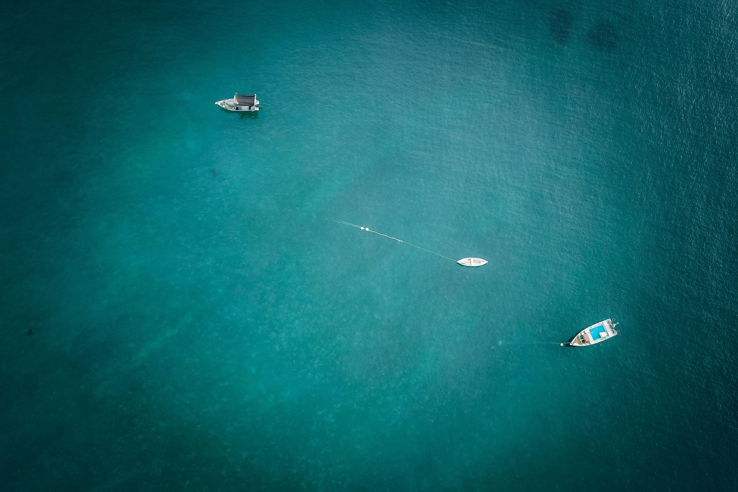 a couple of boats that are in the water, a tilt shift photo, by Sebastian Spreng, unsplash contest winner, minimalism, airborne view, picton blue, fishing, people swimming