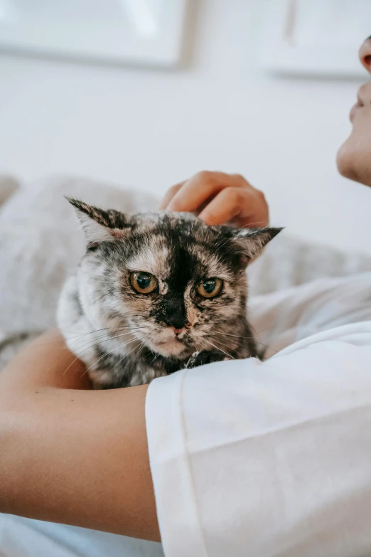 a woman sitting on a couch holding a cat, trending on pexels, wrinkly forehead, gray mottled skin, gif, young male