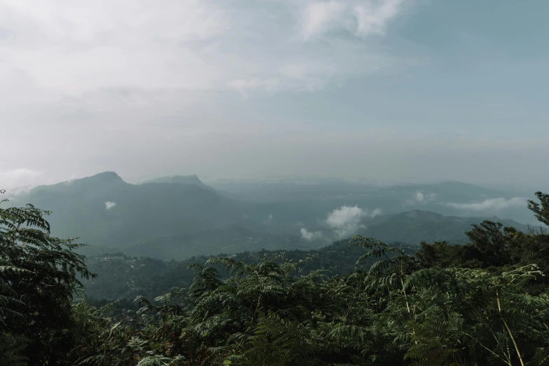 a man standing on top of a lush green hillside, by Emma Andijewska, unsplash contest winner, sumatraism, panorama distant view, sri lanka, hazy and dreary, city panorama