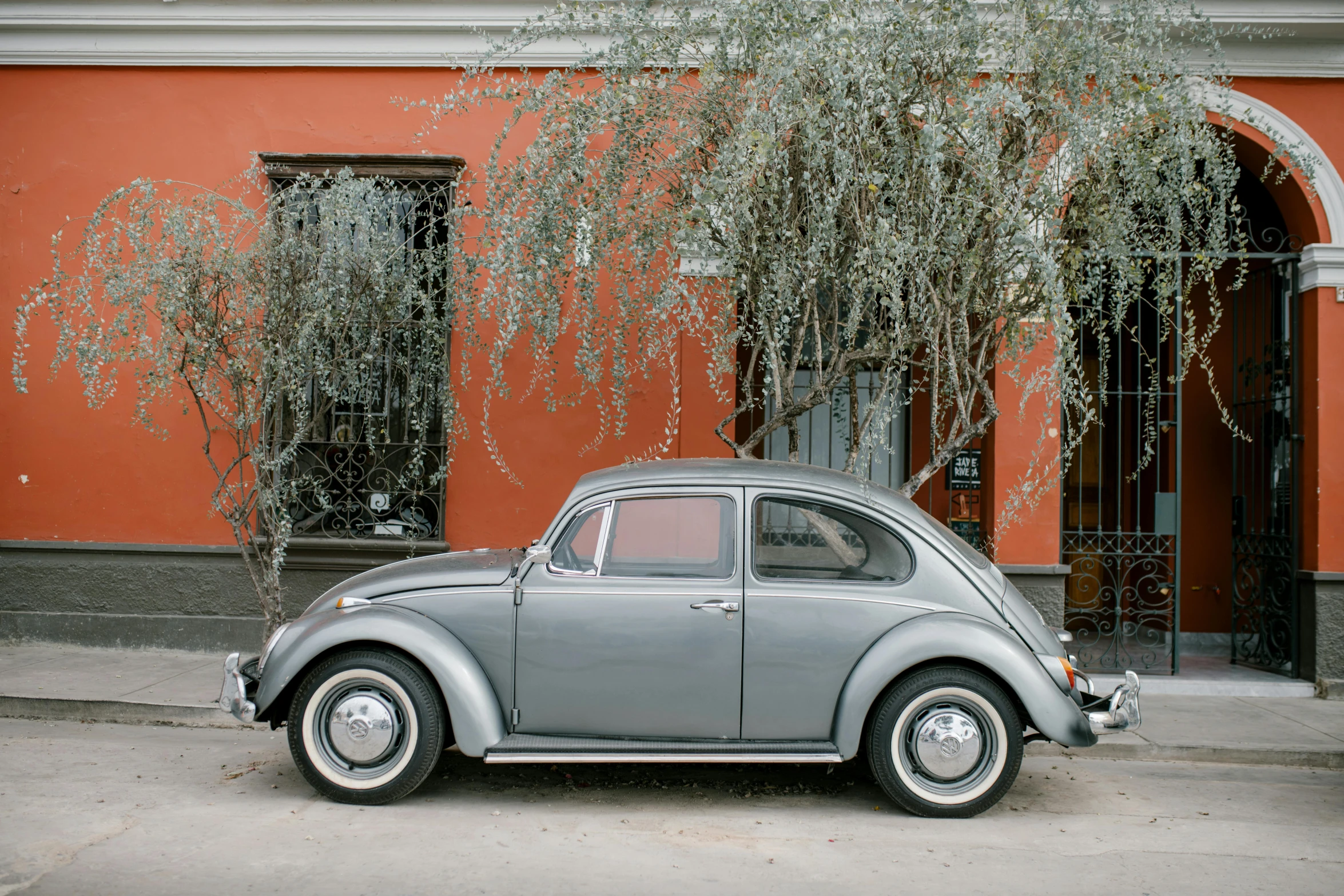 a car parked next to a tree in front of a building, by Carey Morris, pexels contest winner, beetle-inspired, solid gray, buenos aires, restomod