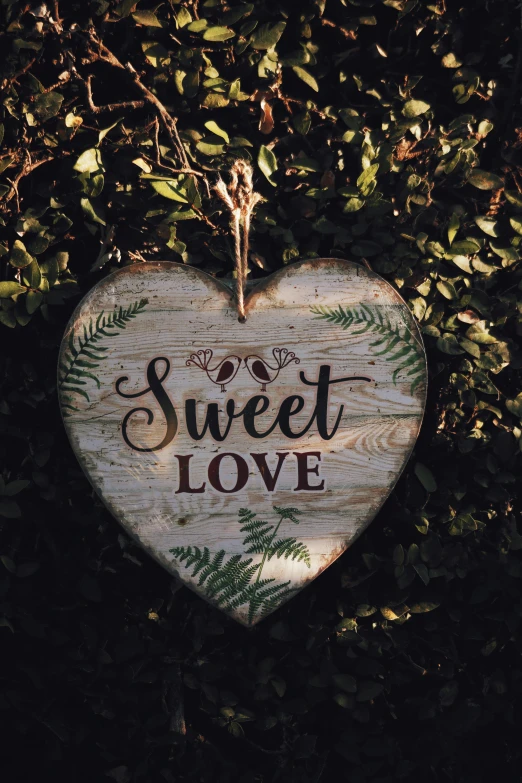 a wooden heart hanging from a tree, by Sylvia Wishart, pexels contest winner, sweet home, sign, dessert, graphic”