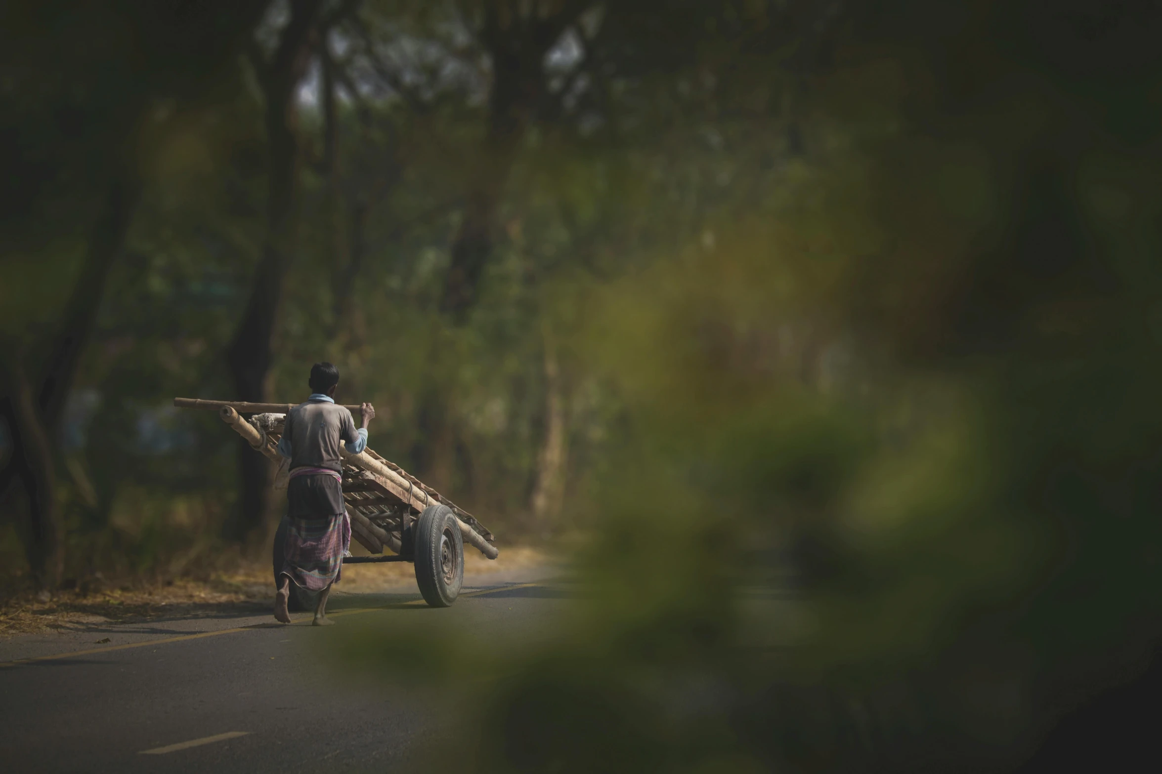 a man riding on the back of a cart down a road, by Eglon van der Neer, pexels contest winner, asian woman, indian forest, medium format. soft light, myanmar