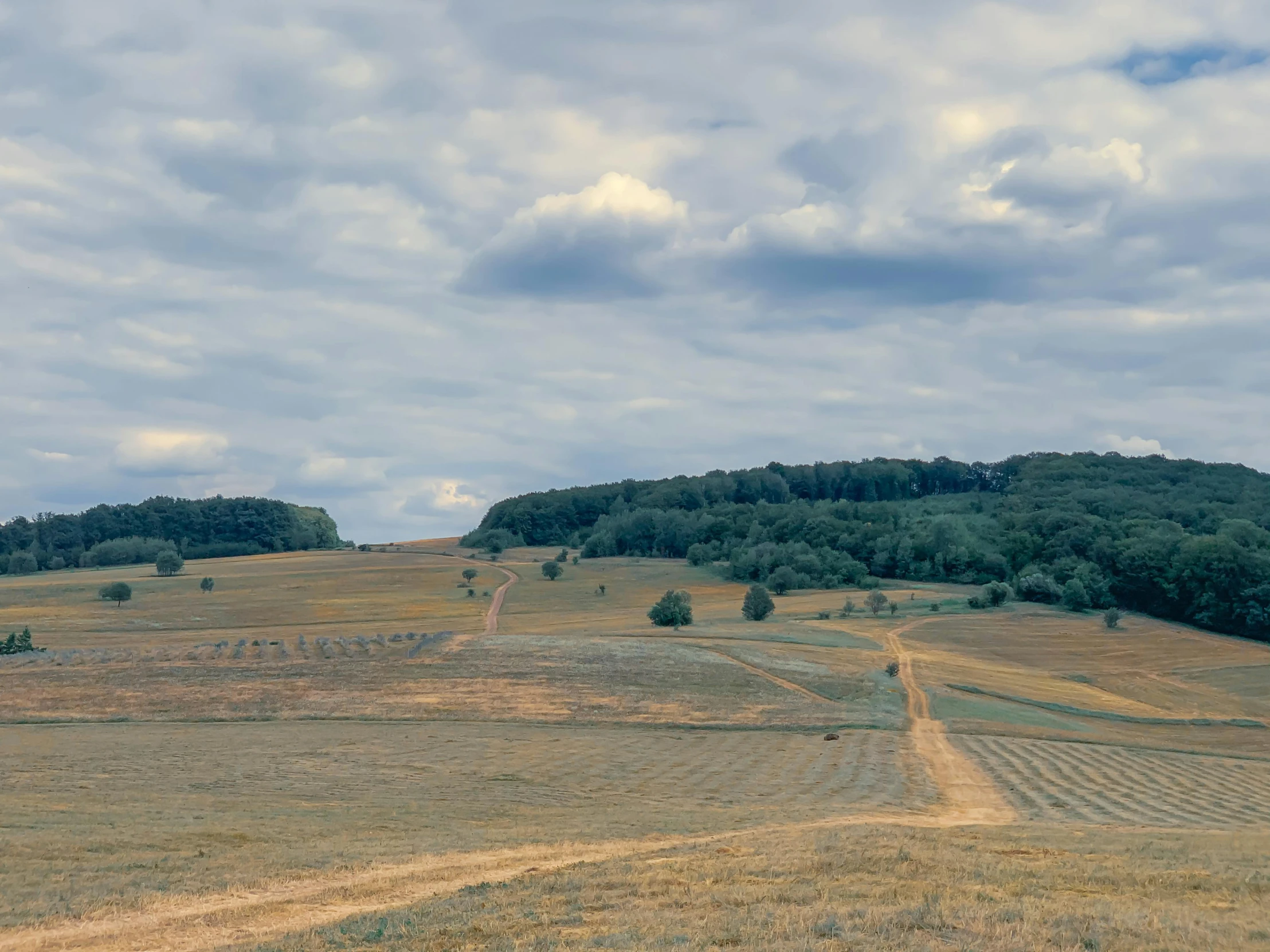 a field with a dirt road in the middle of it, inspired by Jan Rustem, pexels contest winner, land art, panorama distant view, slide show, hillside, rye (shishkin)