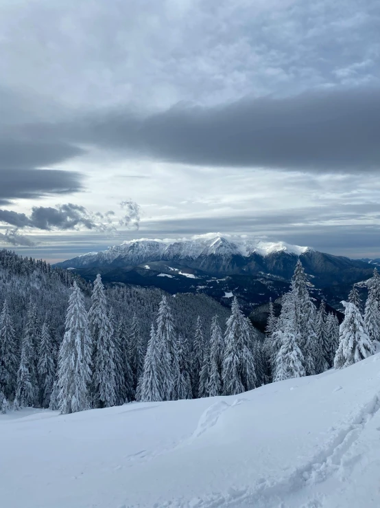 a man riding skis down a snow covered slope, by Adam Szentpétery, pexels contest winner, romanticism, trees in foreground, panorama view of the sky, slovakia, spruce trees on the sides