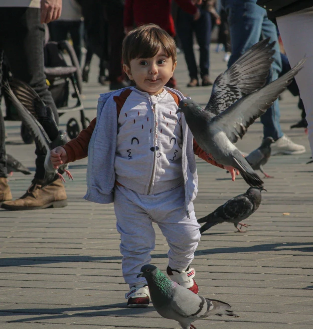 a little boy standing in front of a flock of pigeons, an album cover, pexels contest winner, istanbul, walking towards camera, toddler, with a happy expression