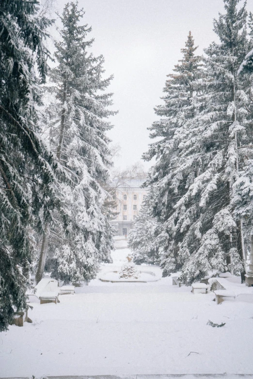 a man riding skis down a snow covered slope, a photo, by Carlo Martini, rococo, massive trees with warm windows, parks and gardens, instagram post, grey