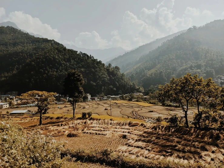 a view of a rice field with mountains in the background, pexels contest winner, overlooking a valley with trees, nepal, thumbnail, festivals