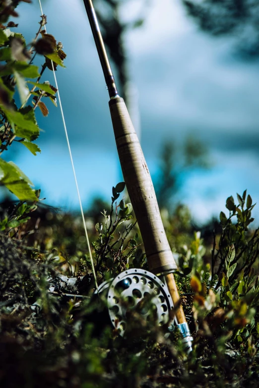 a fishing rod sitting on top of a lush green field, by Jesper Knudsen, hurufiyya, up close shot, birch, adventure gear, profile pic