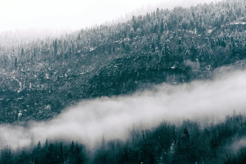 a black and white photo of a snow covered mountain, inspired by Elsa Bleda, pexels contest winner, green fog, forest outside, cyan mist, a cozy