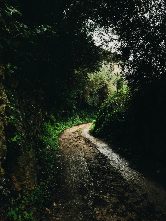 a dirt road in the middle of a forest, by Elsa Bleda, marbella, wet pavement, overlooking, leading to a beautiful