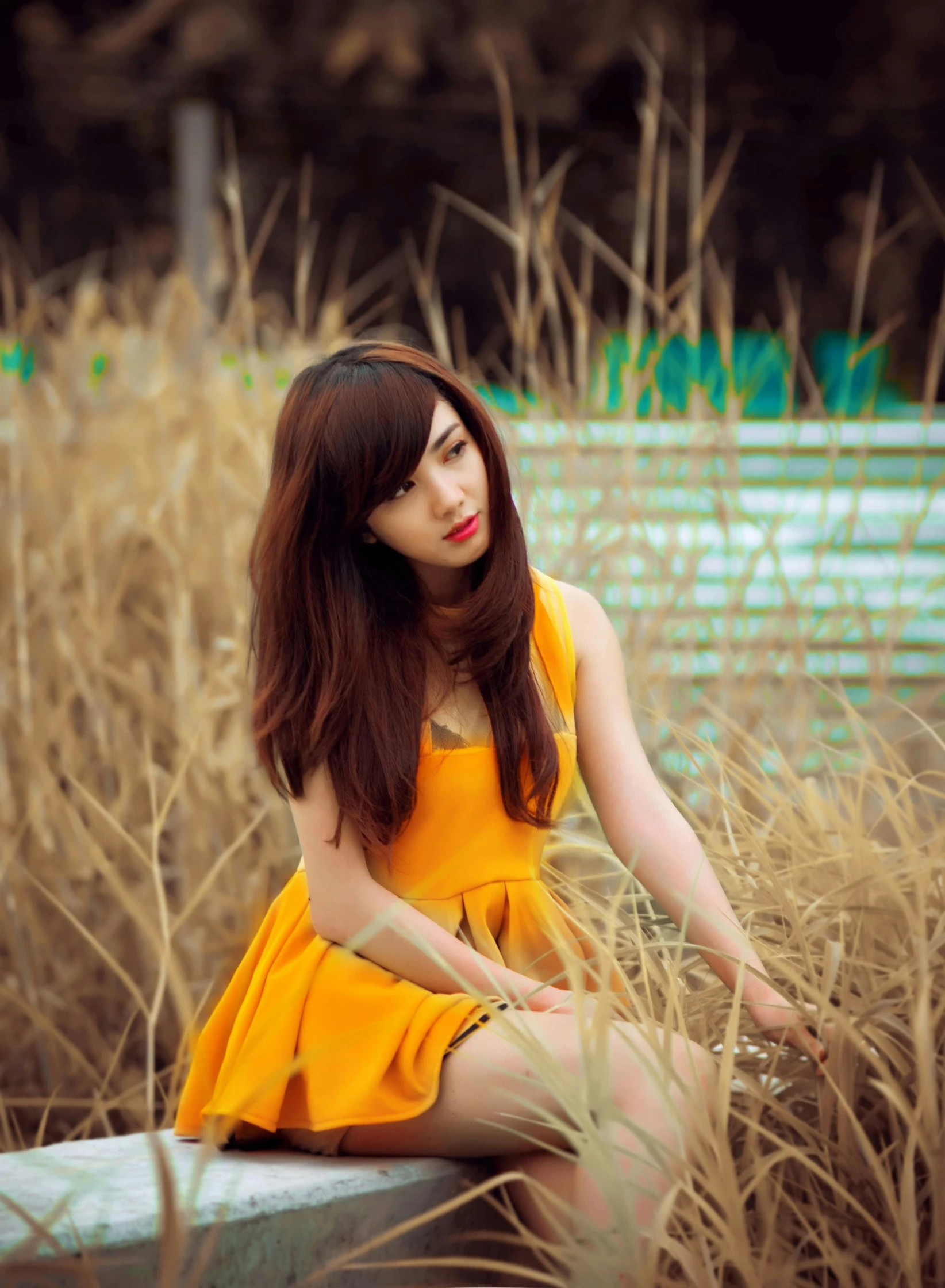 a woman sitting in a field of tall grass, a picture, yellow hue, avatar image, ulzzang, square