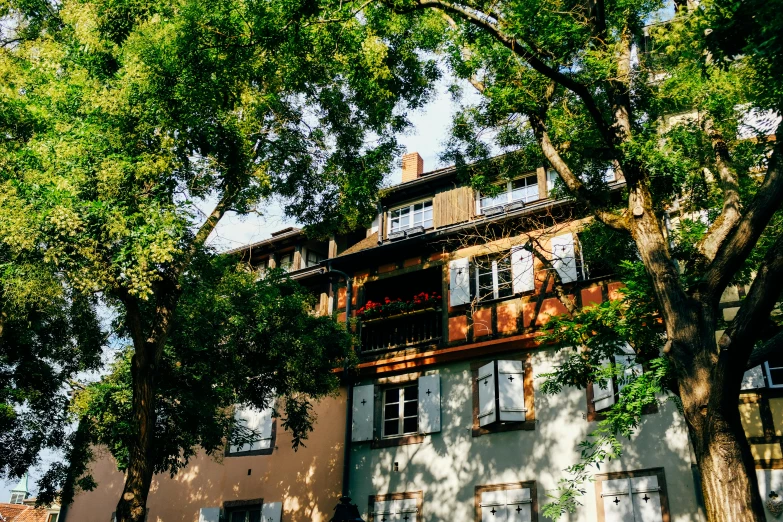 a tall building surrounded by trees on a sunny day, inspired by Albert Paris Gütersloh, pexels contest winner, art nouveau, timbered house with bricks, romantic greenery, view from ground, soft glow