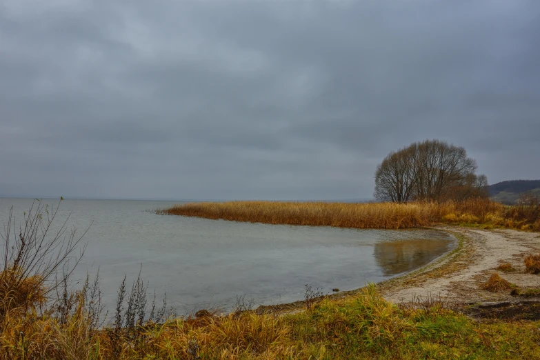 a dirt road next to a body of water, a picture, by Daarken, overcast gray skies, photo 8 k, late autumn, seinen