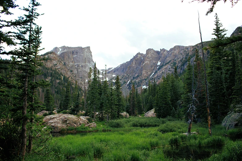 a man standing on top of a lush green field, by Kristin Nelson, unsplash, bakelite rocky mountains, view from the lake, sparse pine trees, mills