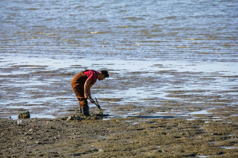 a woman standing on top of a beach next to a body of water, digging, local conspirologist, profile image, working hard