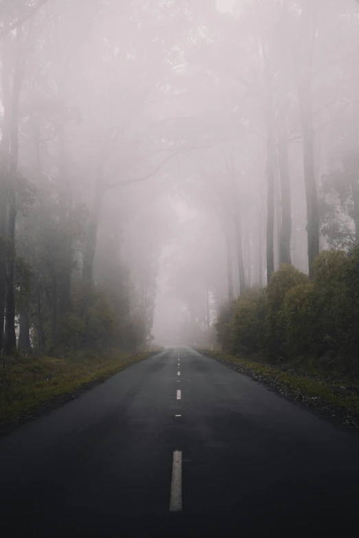 an empty road in the middle of a foggy forest, an album cover, by David Donaldson, pexels contest winner, australian tonalism, paul barson, music, driving, grey